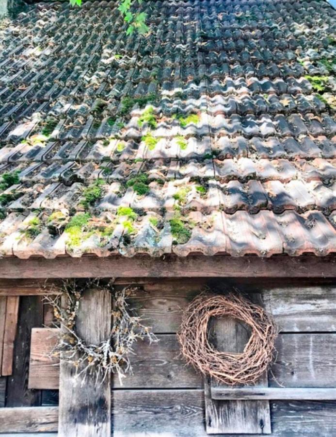Hotel Gasthaus Birke Kirchzarten Exteriér fotografie